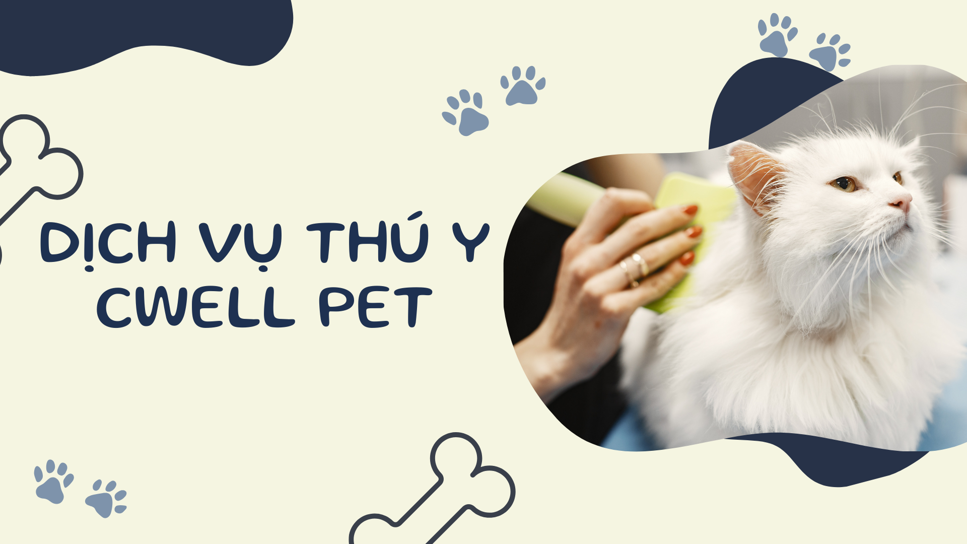 dịch vụ thú y cwell