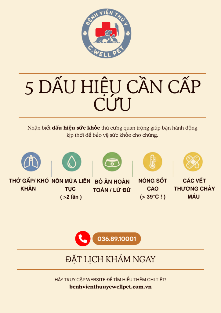Infographic 5 dấu hiệu sức khỏe cần cấp cứu thú cưng từ Bệnh Viện Thú Y C.Well Pet