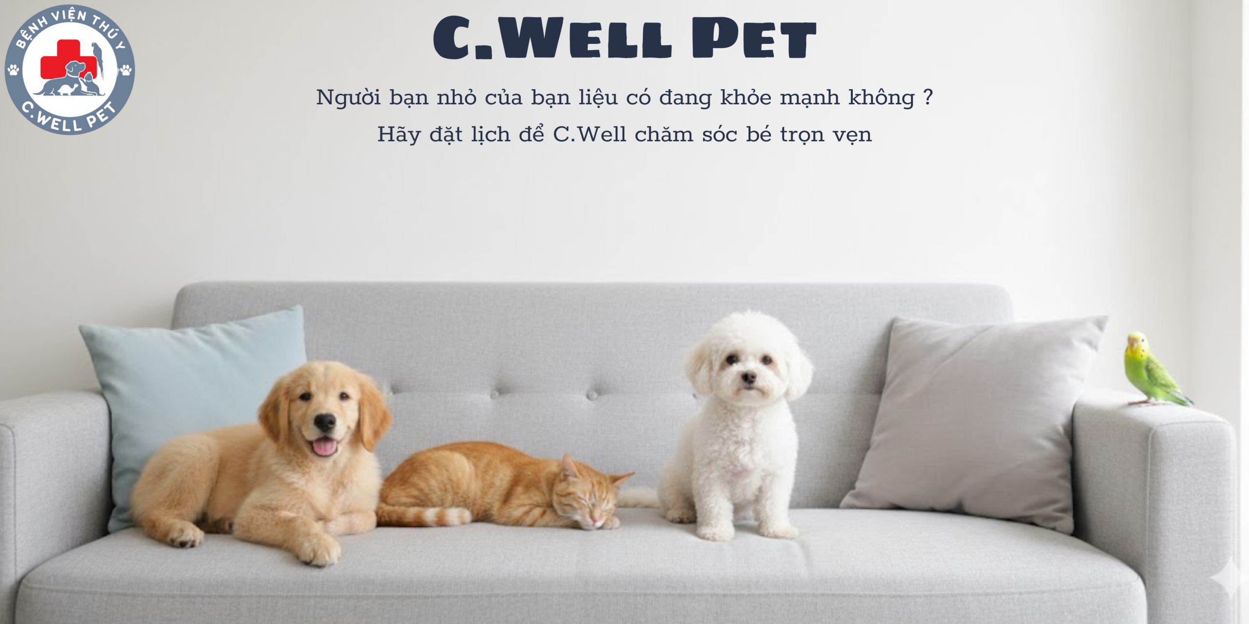 đặt lịch tại CWELL